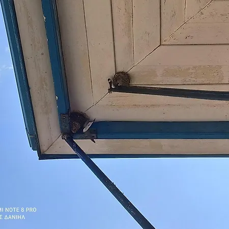 Hotel Elyssia Pedhoulas