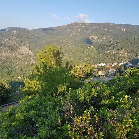 Elyssia ペドゥラス