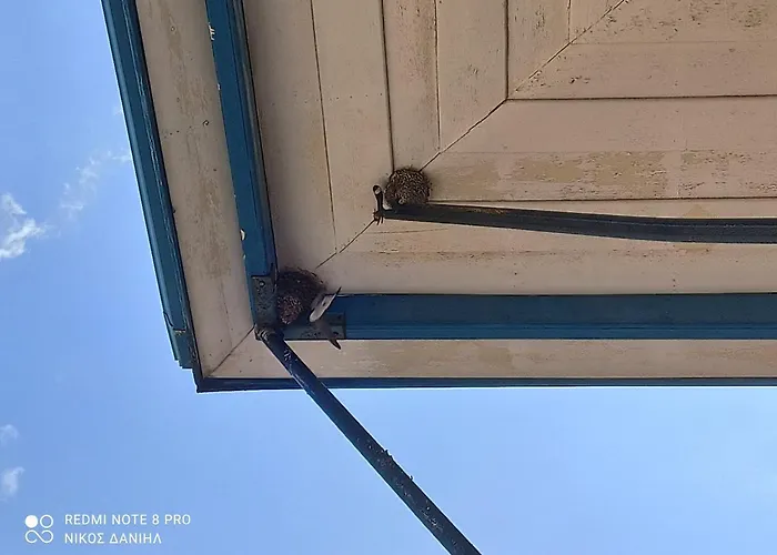 Ξενοδοχείο Elyssia Πεδουλάς