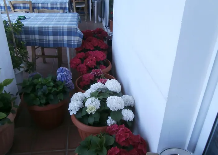 Elyssia 2* Πεδουλάς