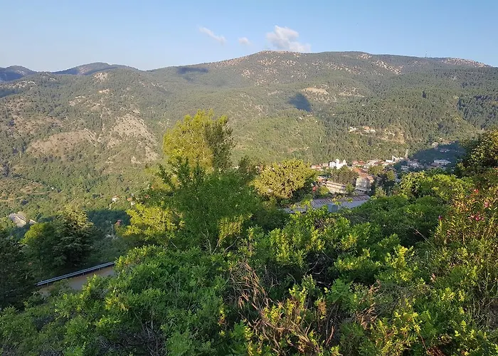 Elyssia Πεδουλάς