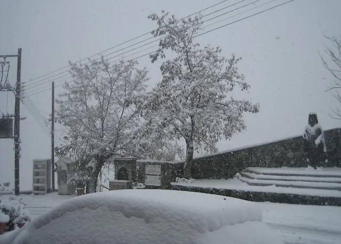 Elyssia Πεδουλάς